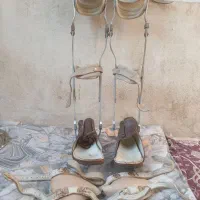 کفش برس پا