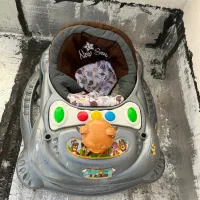 روروئک