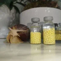 فروش حلزون، تخم حلزون، نوزاد حلزون کلاژن ساز