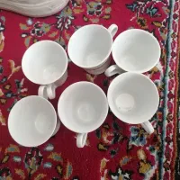 فنجان نو