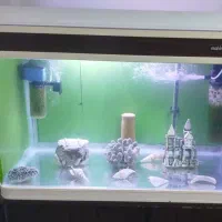 اکواریوم شرکتی ماهیران شیشه خم