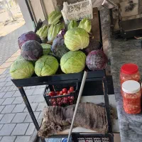 استندمیوه اینه میز میوه لوازم میوه فروشی