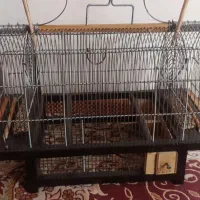 جفت تله سیره