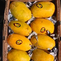 انبه پاکستان درجه یک