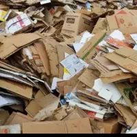 خریدار و فروشنده انواع کارتن کتاب