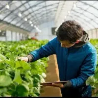 کارشناس کشاورزی/ زراعی /باغی /تغذیه و آفات