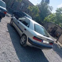 زانتیا ۸۴ تمیز
