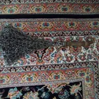 زنجیر عزاداری