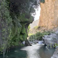 آموزش شنا فقط در یک جلسه (فقط با یک میلیون تومن)