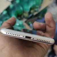 iPhone 8plus|موبایل|زاهدان, |دیوار