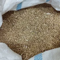 انواع غذای پرنده