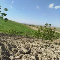 باغچه|فروش زمین و ملک کلنگی|ارژن, |دیوار