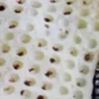 نان لواش بسته بندی