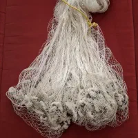 تورماهیگیری پرتابی یا سالیک