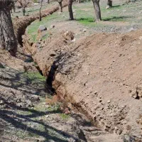 زمین کشاورزی