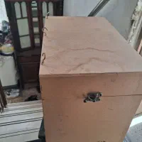 لانه طوطی
