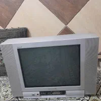 تلویزیون