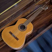 گیتار پارسی مدل D6 + آموزش موسیقی در پردیس