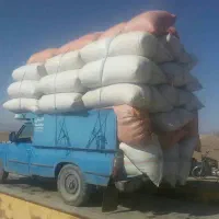 کاه دیم