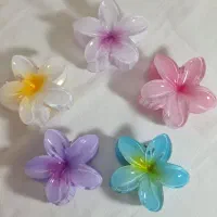 اکسسوری مو نانا ارزان تر از همه جا