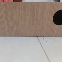 لونه چوبی‌سالم