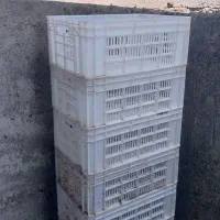 سبد مرغ