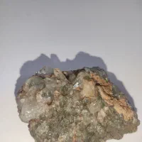 سنگ سکه‌ای یا نومولیت