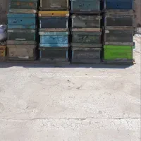 جعبه طبق زنبور عسل