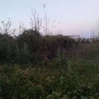 زمین سند دار /روستایی/ناصرکیاده. بر اصلی