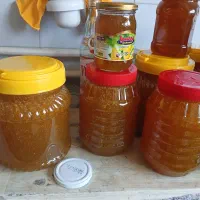 عسل|خوردنی و آشامیدنی|دوگنبدان, |دیوار