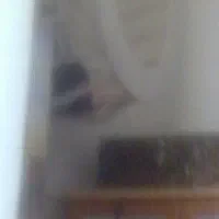 گهواره صندلی بچه داخل ماشین  میشونن  اسمشو نمیدونم