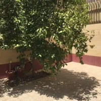 فروش-باغچه-کوچیک-و-دنج