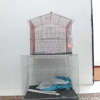 قفس پرنده عروس هلندی فنچ طوطی جوجه کاسکو