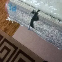 سوسنگرد