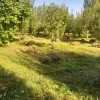 علف خوب
