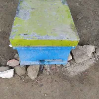 کندوی زنبور عسل