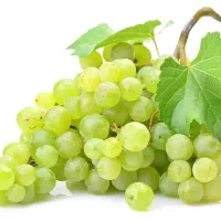 انگور درشت و شیرین