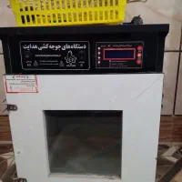 دستگاه جوجه کشی