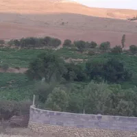 فروش کاه درب دامداری