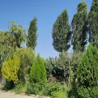 اقامتگاه-ویلایی