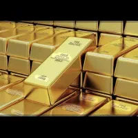پاداش ثبت نام درسایت جدید