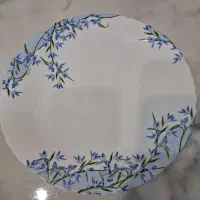 بشقاب میوه خوری آرکوپال فرانسه پیش دستی