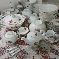 ظروف گلسرخی گل سرخ