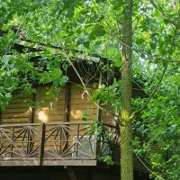 ویلایی متفاوت برای تجربه ای متفاوت