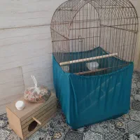 قفس پرنده