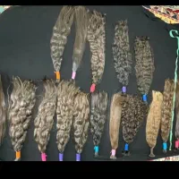 بلند خام و رنگی