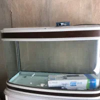 اکواریم چینی