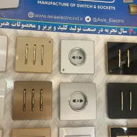 کلیدوپریز مشکی طلا