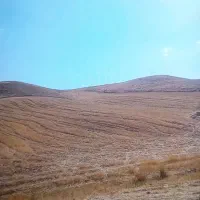 زمین کشاورزی