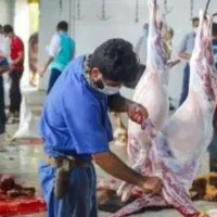 ذبح گوسفند ودام در محل